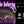 Load image into Gallery viewer, Boards & Bones @ The Spookeasy Ybor!
