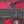 Load image into Gallery viewer, 47319193092301|47319193125069|47319193157837|47319193190605