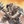 Load image into Gallery viewer, Ashbound Chronicles